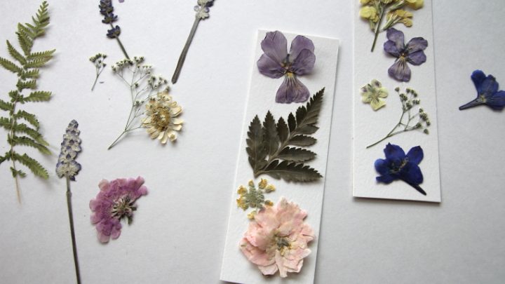 Dried Lavender 50 Stems - Dried Flowers - DIY Flowers - DIY Crafts