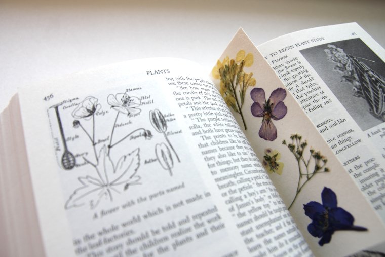 Pressed Flower Bookmarks - Aberle Home