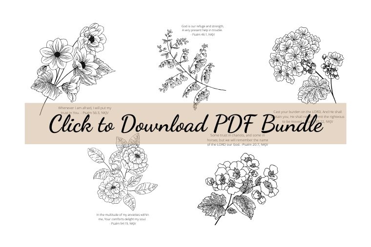 click to download PDF bundle