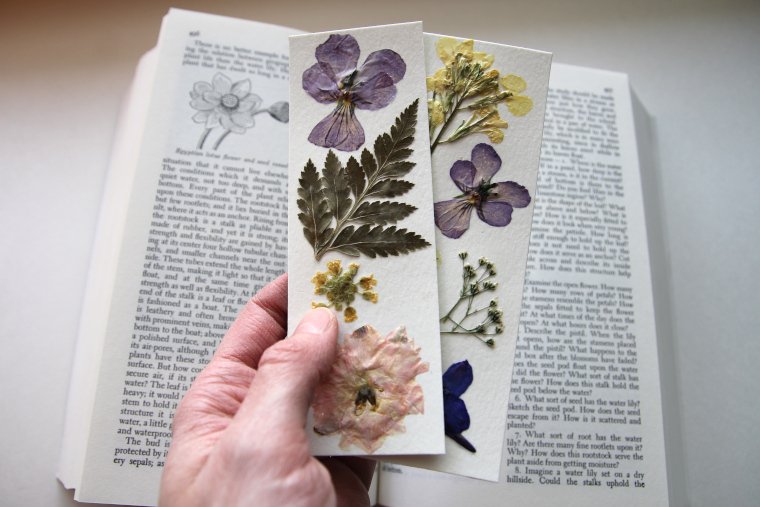 Pressed Flower Bookmark  How to Make Dried Flower Bookmarks