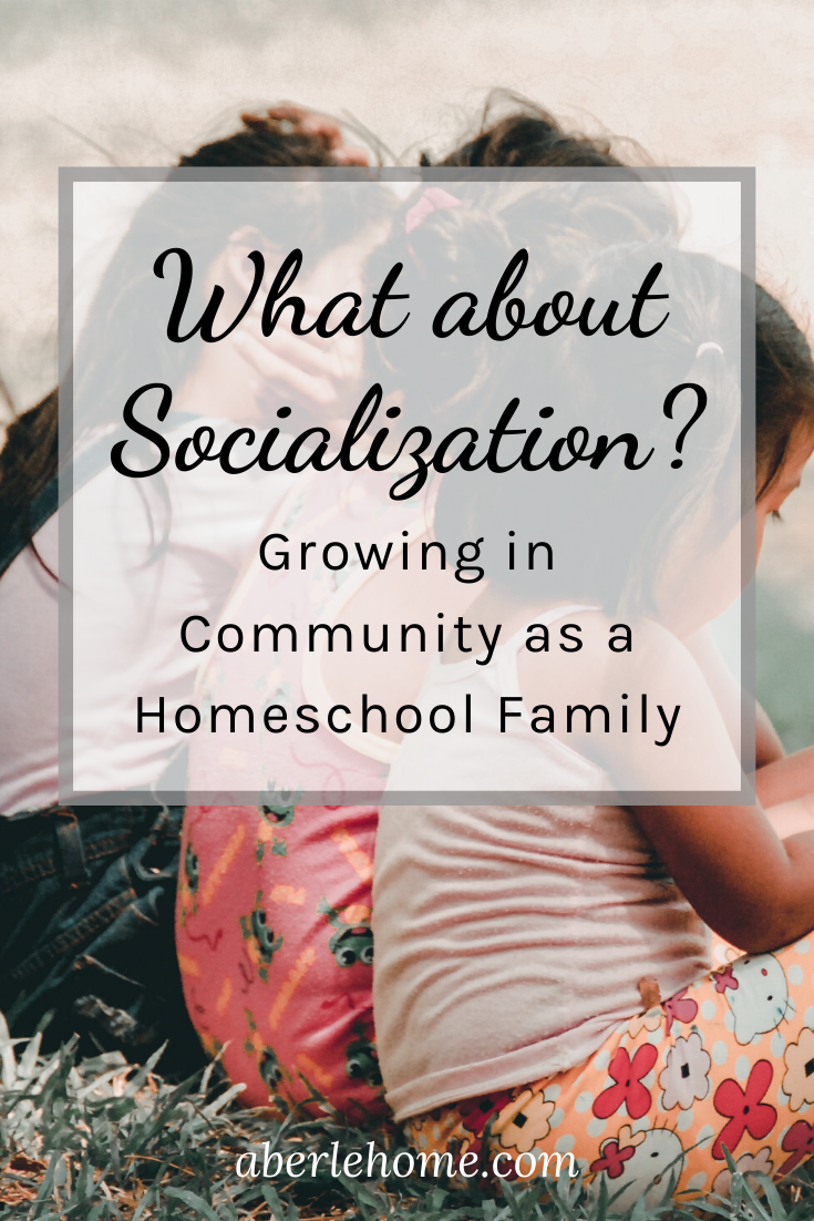What about Socialization? How to Grow in Community as a Homeschool ...