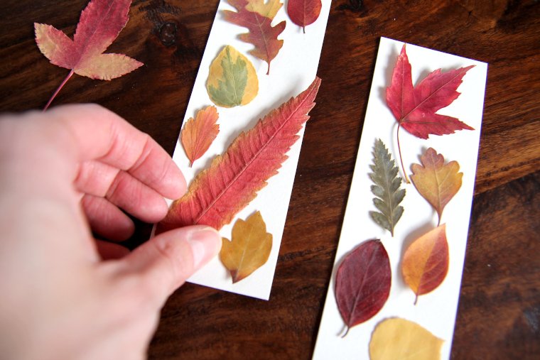 arrange leaves on bookmark