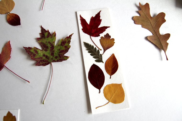 pressed fall leaves and bookmark