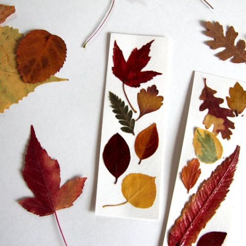 pressed leaf bookmarks for fall