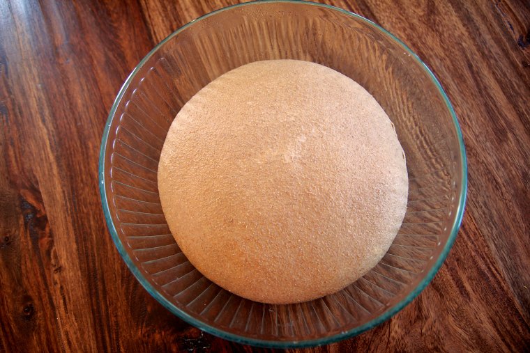 dough after refrigeration