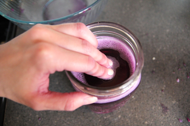 pressing the weight down to submerge red cabbage below the brine