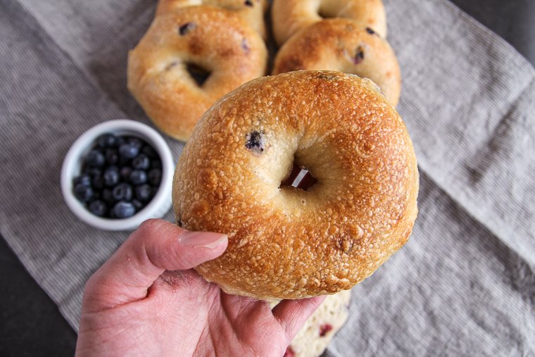 a close up look at the blistered crust on a sourdough blueberry bagel