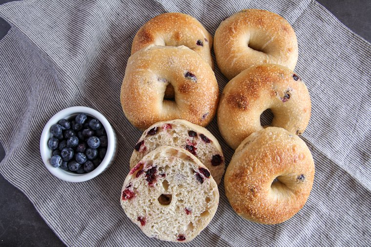 sourdough blueberry bagels arranged in a striped kitchen towel