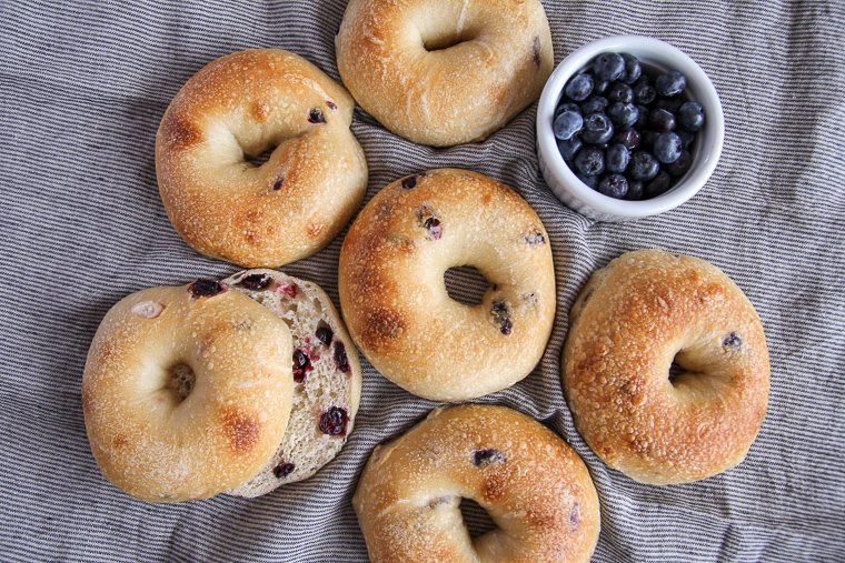 sourdough blueberry bagels arranged in a circle with a small bowl of blueberries