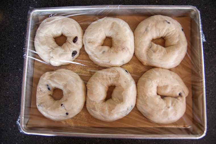 bagels shown covered with plastic wrap after the 1 hour proof at room temperature