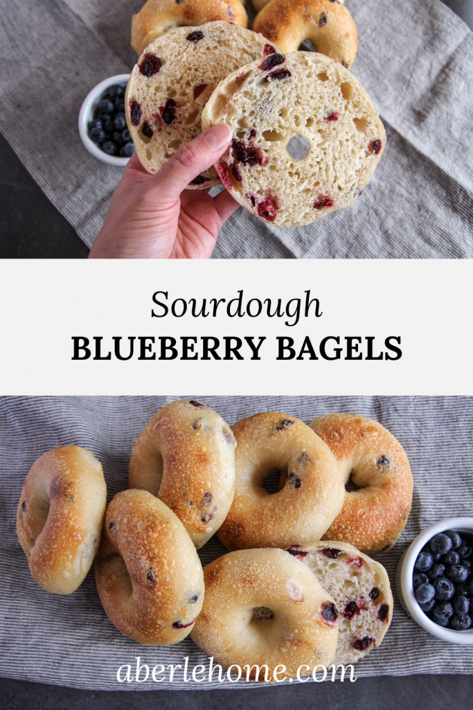 sourdough blueberry bagels Pinterest image