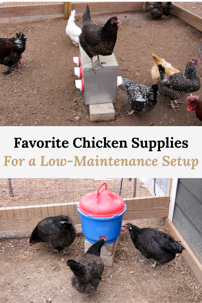 our favorite chicken supplies for a low-maintenance setup pinterest image