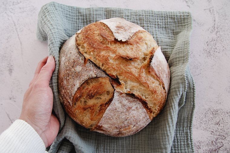 sourdough baking terms for beginners