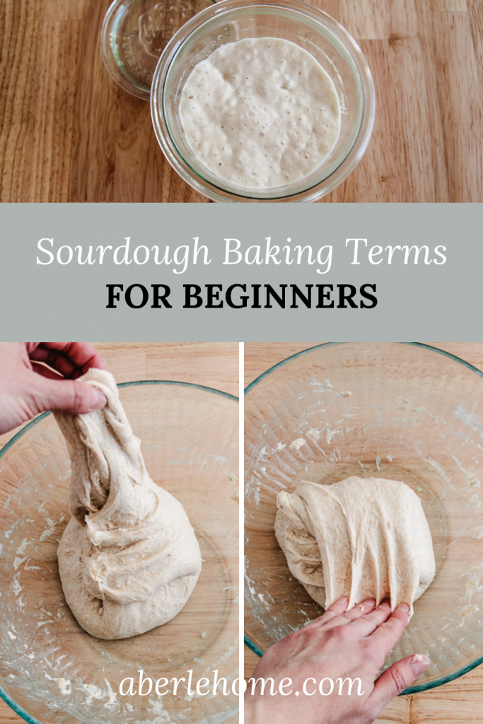 sourdough baking terms for beginners pinterest image