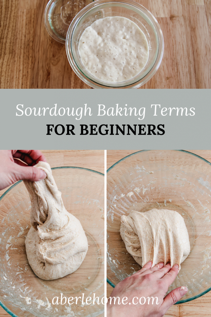 Sourdough Baking Terms for Beginners - Aberle Home