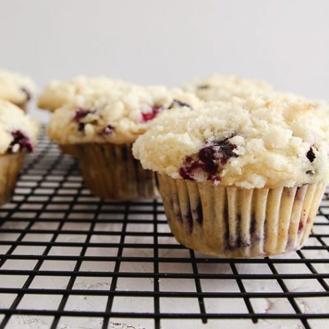 high altitude blueberry muffins
