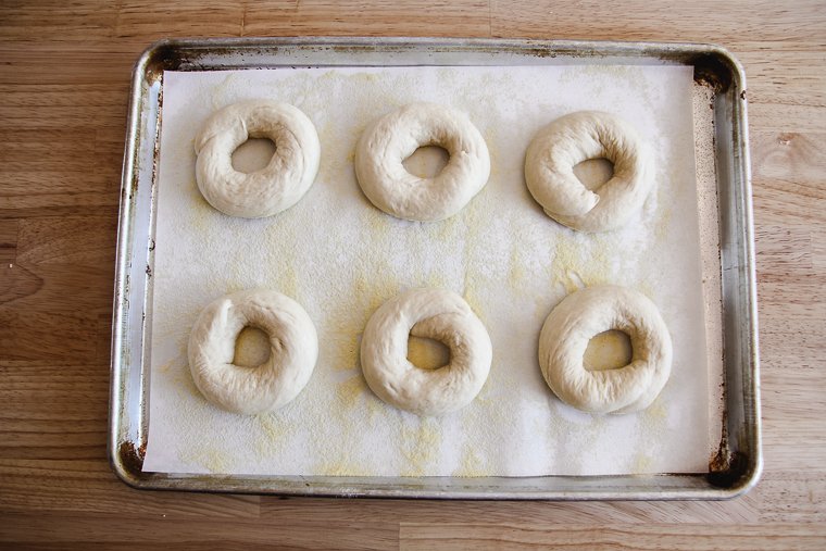 sourdough bagels before proofing