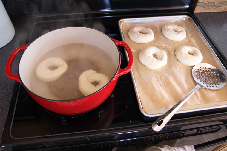 boiling the bagels
