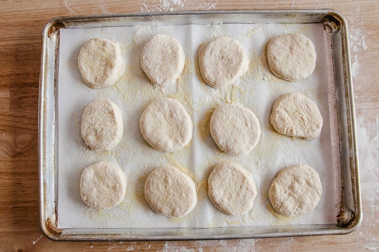 english muffins on a tray before proofing and going onto the skillet