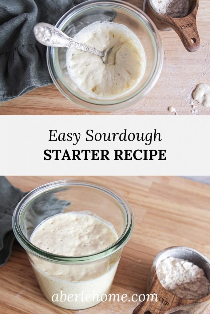 Sourdough Starter Recipe