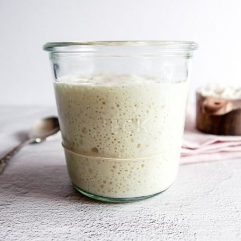 how to feed and maintain a sourdough starter