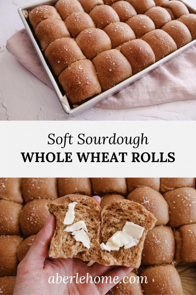 soft sourdough whole wheat rolls pinterest image