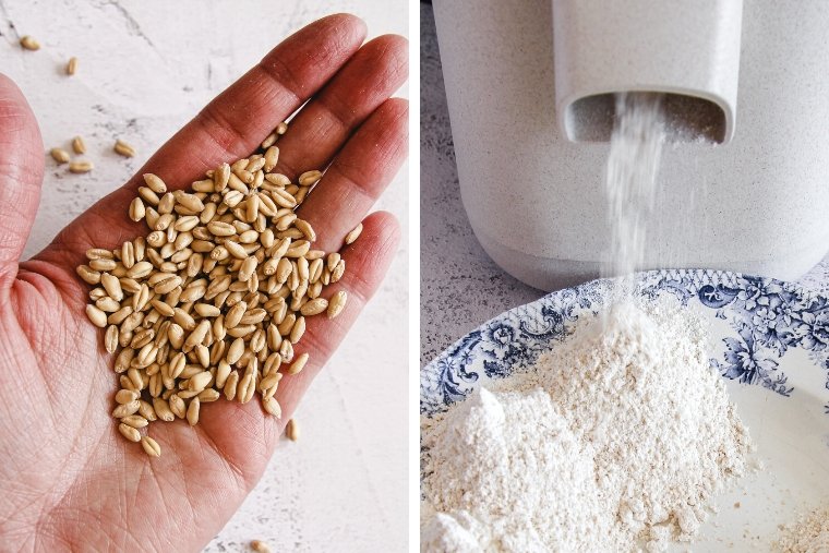 How to Make Wheat Flour and Other Flours - Health Tips