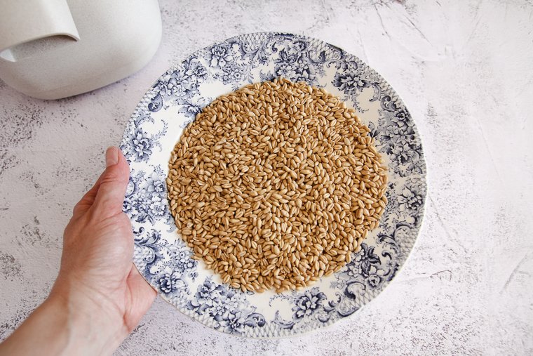a bowl of soft white wheat berries