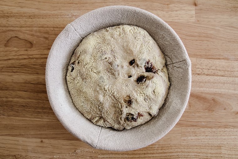 cranberry walnut sourdough bread after proofing