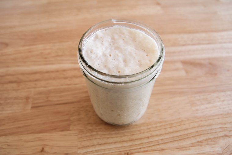 ripe prepared starter when it's bubbly and ready to add to the final dough