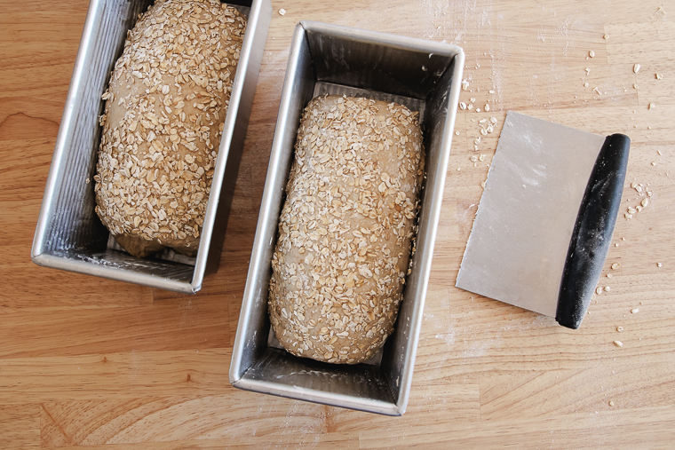 loaves in the pullmans pans ready to proof