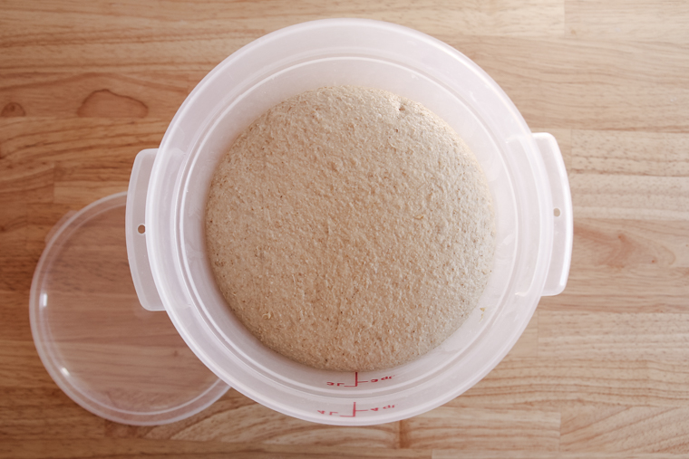 top view of the dough at the end of bulk fermentation