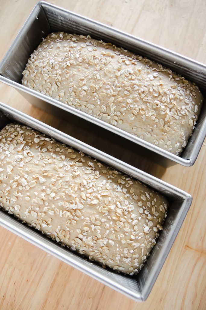 two unbaked loaves of maple oat sourdough bread in pullman pans