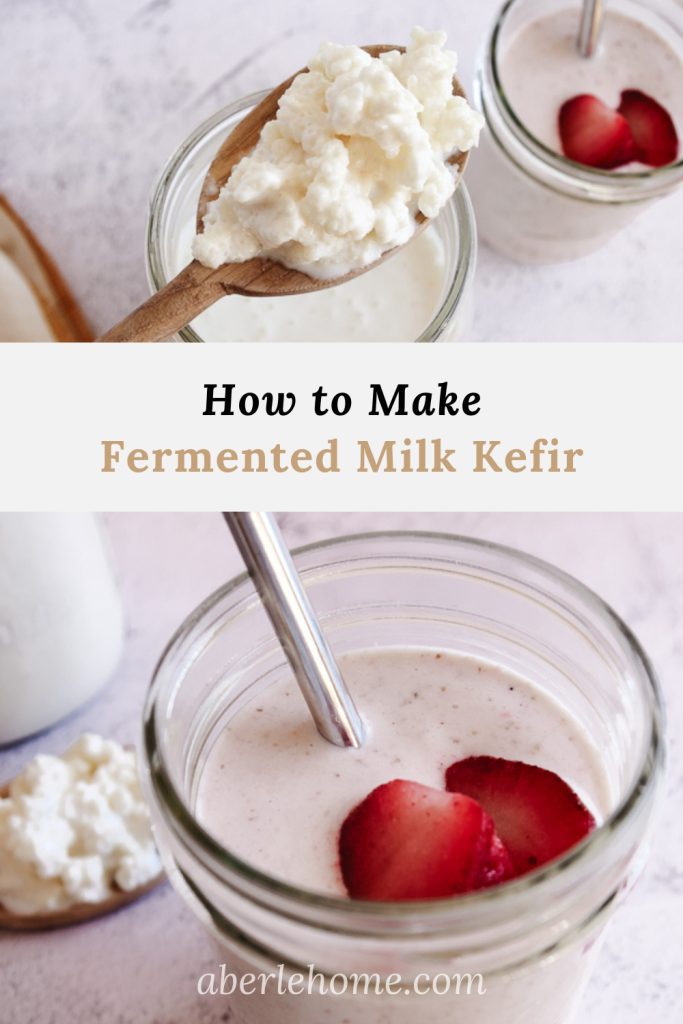 Making KEFIR plant-based  Fermentation + Dairy-free + Probiotic