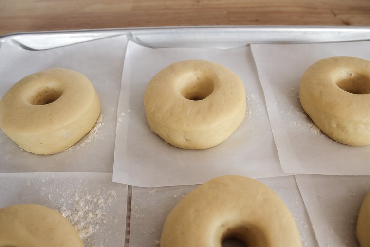 close up shot of donuts when sufficiently proofed