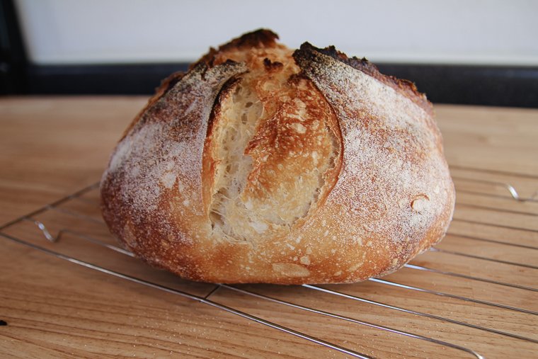 underproofed domed sourdough bread