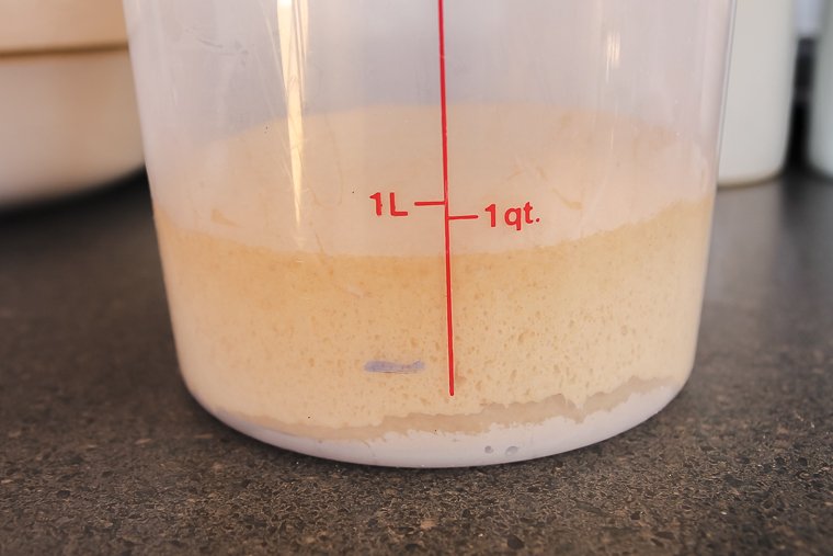 dough at the end of bulk fermentation after doubling in size
