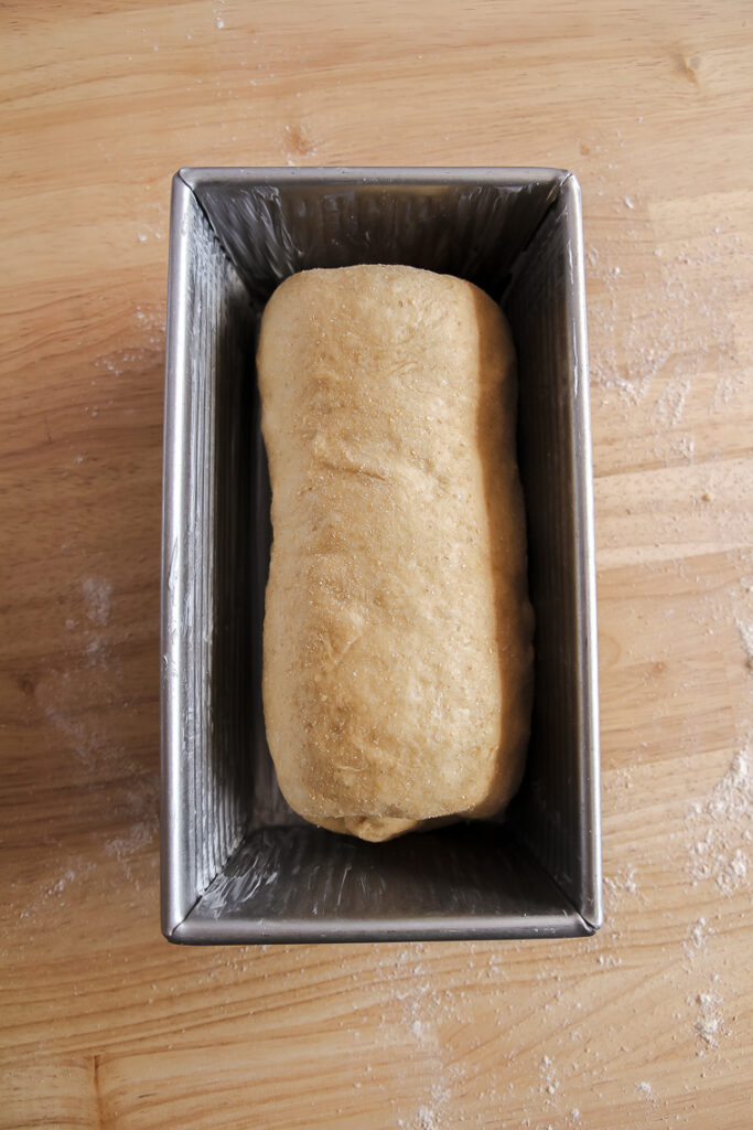 loaf seam-side-down in greased pan