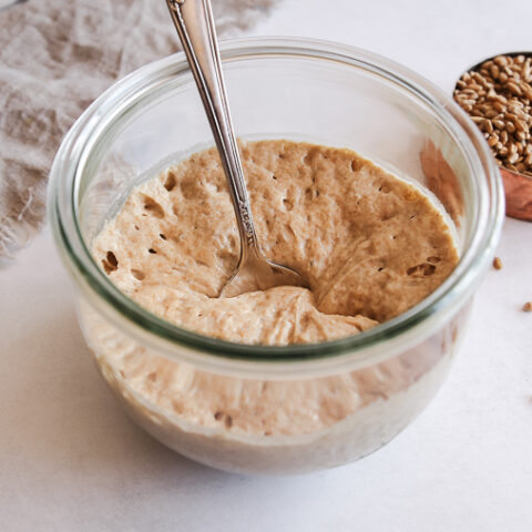 whole wheat sourdough starter