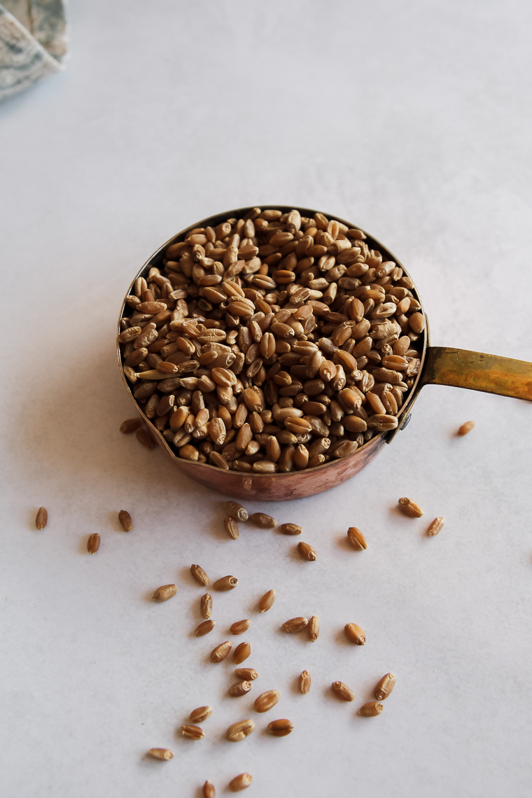 a copper measuring cup full of hard red wheat berries