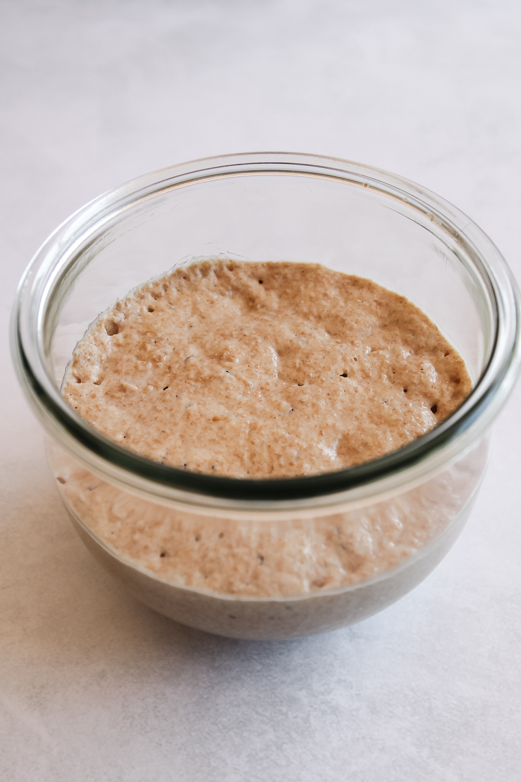 whole-wheat-sourdough-starter-a-beginner-s-guide-aberle-home