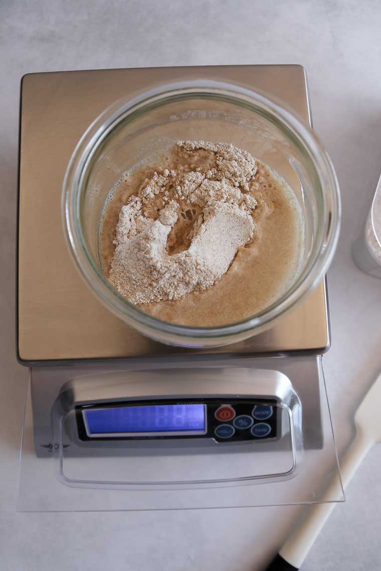 mixing whole wheat flour and water to make a sourdough starter from scratch