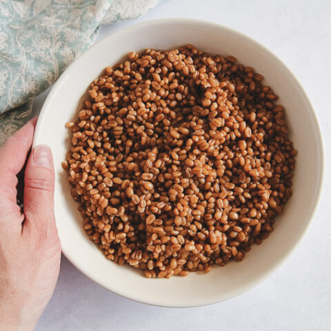 How to Cook Wheat Berries (Stove or Instant Pot)