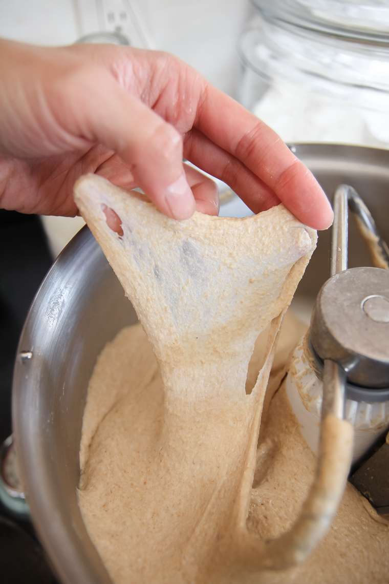 dough strength after first knead