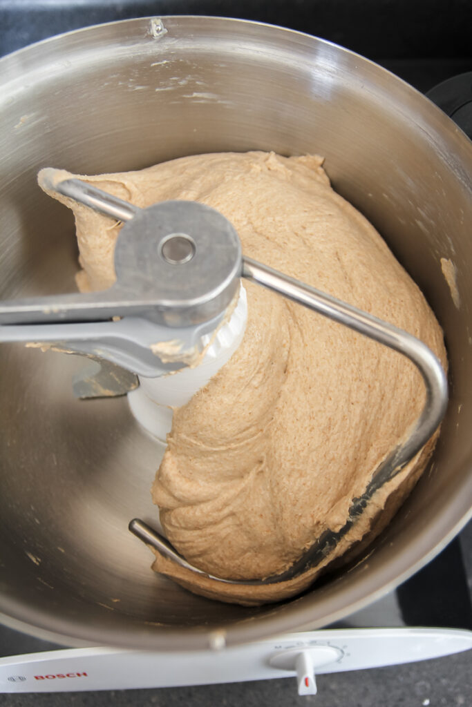 Fully kneaded whole wheat sourdough dough