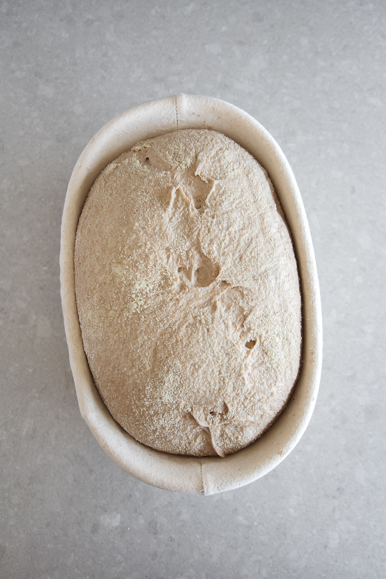 Loaf after final proof