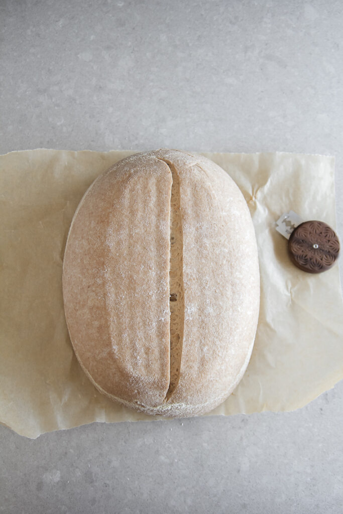 scored loaf of whole wheat sourdough bread
