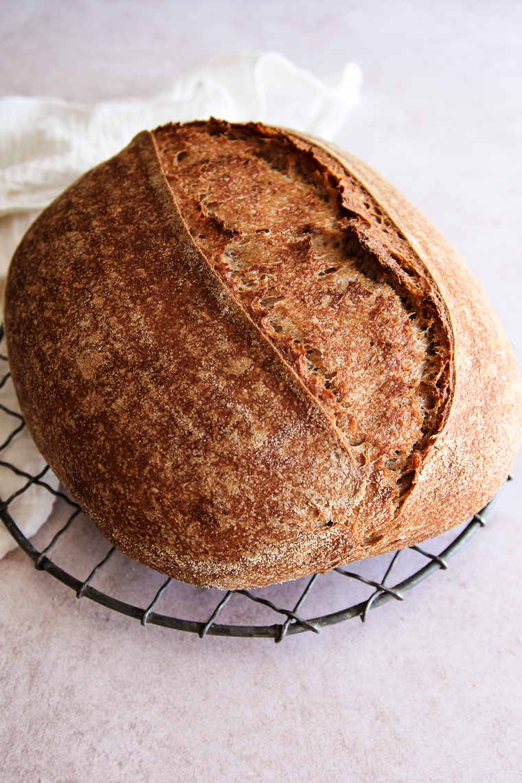 whole wheat sourdough bread shaped into a batard