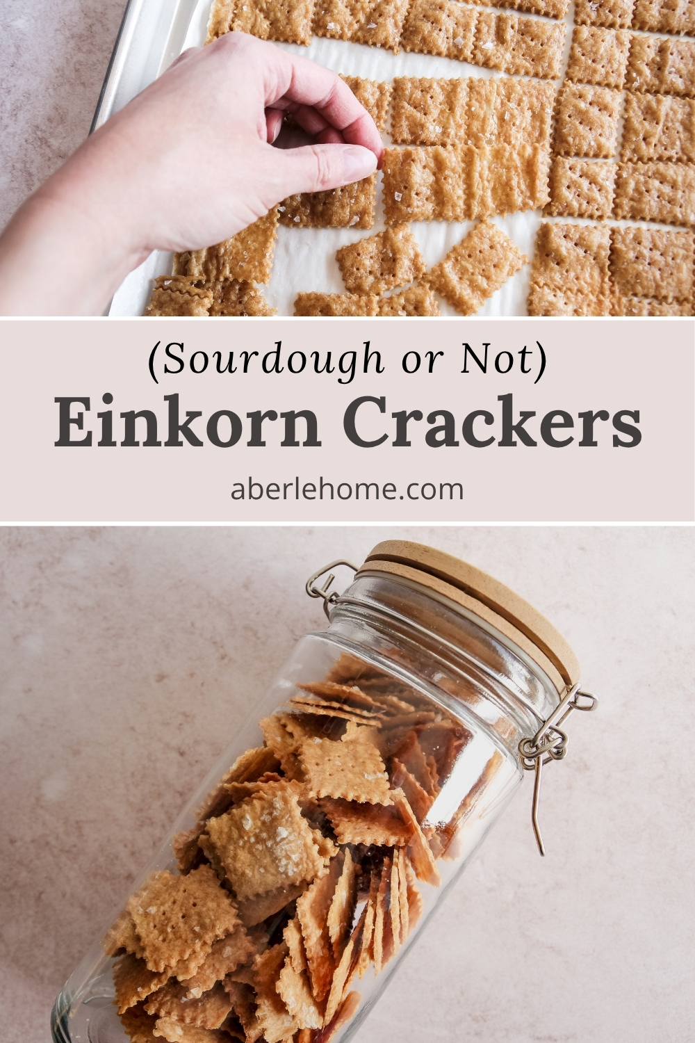 einkorn sourdough crackers (sourdough or not) Pinterest image